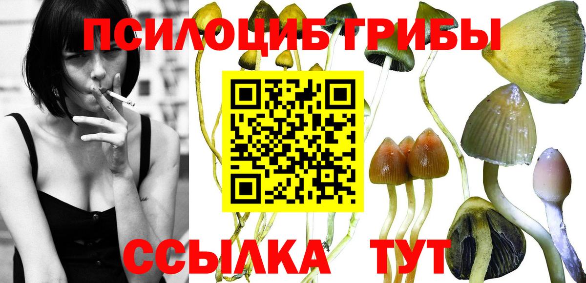 Галлюциногенные грибы MAGIC MUSHROOMS Шумерля
