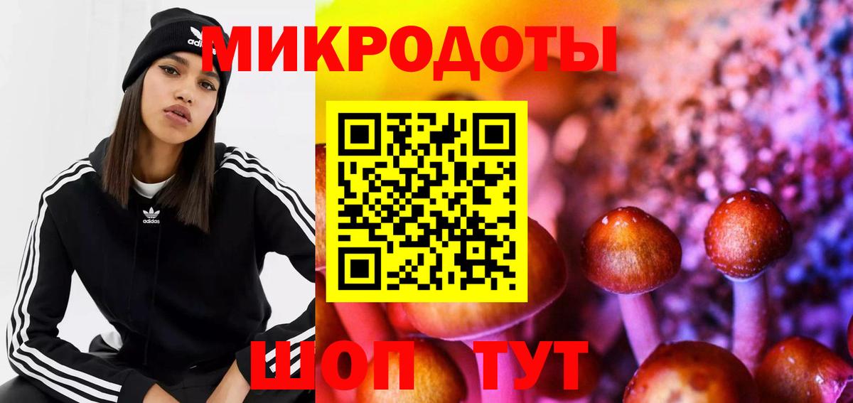 Псилоцибиновые грибы MAGIC MUSHROOMS  Вход с VPN  Шумерля  Псилоцибиновые грибы Magic Shrooms 